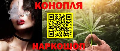 СК Гатчина