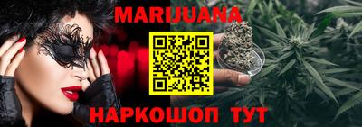 СК Гатчина