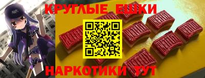 СК Гатчина