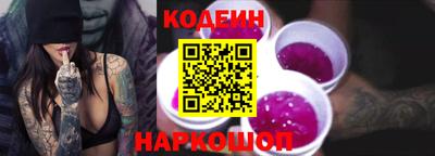 СК Гатчина
